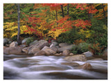 Autumn Along Swift River, White Mountains National Forest, New Hampshire-Paper Art-34,,X26,,