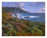 Cliffs And The Pacific Ocean, Garrapata State Beach, Big Sur, California-Paper Art-26,,X22,,