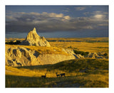 Mule Deer Trio In The Grasslands Of Badlands National Park, South Dakota-Paper Art-22,,X18,,