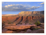 Aubrey Cliffs From Toroweap Overlook, Grand Canyon National Park, Arizona-Paper Art-26,,X20,,