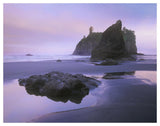 Ruby Beach With Seastacks And Boulders, Olympic National Park, Washington-Paper Art-50,,X38,,