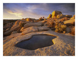 Water That Has Collected In Boulder, Joshua Tree National Park, California-Paper Art-26,,X20,,