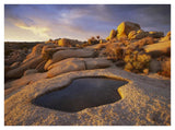 Water That Has Collected In Boulder, Joshua Tree National Park, California-Paper Art-42,,X32,,