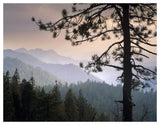 View Over Foothills To The West From Kings Canyon National Park, California-Paper Art-50,,X38,,
