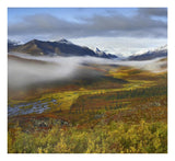 Fog Over Tundra, Tombstone Range, Tombstone Territorial Park, Yukon, Canada-Paper Art-24,,X22.02,,