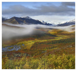 Fog Over Tundra, Tombstone Range, Tombstone Territorial Park, Yukon, Canada-Paper Art-42,,X38.4,,