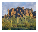 Saguaro Cacti And Superstition Mountains, Lost Dutchman State Park, Arizona-Paper Art-18,,X15.28,,