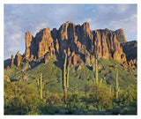 Saguaro Cacti And Superstition Mountains, Lost Dutchman State Park, Arizona-Paper Art-38,,X31.88,,