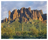 Saguaro Cacti And Superstition Mountains, Lost Dutchman State Park, Arizona-Paper Art-42,,X35.2,,