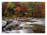 Wild River In Eastern Hardwood Forest, White Mountains National Forest, Maine-Paper Art-26,,X20,,