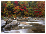 Wild River In Eastern Hardwood Forest, White Mountains National Forest, Maine-Paper Art-50,,X38,,