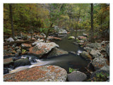 Cedar Creek Flowing Through Deciduous Forest, Petit Jean State Park, Arkansas-Paper Art-18,,X14,,
