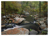 Cedar Creek Flowing Through Deciduous Forest, Petit Jean State Park, Arkansas-Paper Art-42,,X32,,
