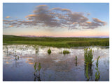Reflection Of Clouds In The Water, Arapaho National Wildlife Refuge, Colorado-Paper Art-42,,X32,,