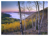 Aspen Forest Overlooking Fremont Lake, Bridger-Teton National Forest, Wyoming-Paper Art-42,,X32,,