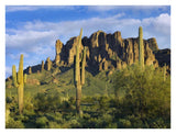 Saguaro Cacti And Superstition Mountains At Lost Dutchman State Park, Arizona-Paper Art-34,,X26,,