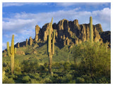 Saguaro Cacti And Superstition Mountains At Lost Dutchman State Park, Arizona-Paper Art-50,,X38,,