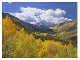 Haystack Mountain With Aspen Forest, Maroon Bells-Snowmass Wilderness, Colorado-Paper Art-18,,X14,,