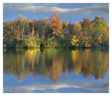 Deciduous Forest In Autumn Along Price Lake, Blue Ridge Parkway, North Carolina-Paper Art-38,,X32.6,,
