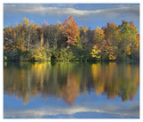 Deciduous Forest In Autumn Along Price Lake, Blue Ridge Parkway, North Carolina-Paper Art-46,,X39.4,,