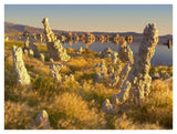 Wind And Rain Eroded Tufa Towers Amid Squirreltail Barley Mono Lake, California-Paper Art-42,,X32,,