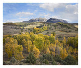 Quaking Aspen Forest And Chair Mountain In Autumn, Raggeds Wilderness, Colorado-Paper Art-32,,X26.9,,