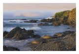 Northern Elephant Seals Resting On The Beach, Point Piedras Blancas, California-Paper Art-26,,X18,,