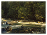 Merced River Flowing Through The Valley Floor, Yosemite National Park, California-Paper Art-34,,X26,,