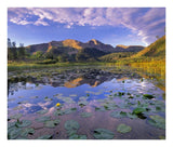 Lily Pads And Reflection Of Snowdon Peak In Pond, West Needle Mountains, Colorado-Paper Art-24,,X20.48,,