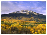 East Beckwith Mountain And Trees In Fall Color, Gunnison National Forest, Colorado-Paper Art-34,,X26,,