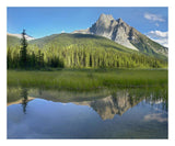 Mt Burgess Reflected In Emerald Lake, Yoho National Park, British Columbia, Canada-Paper Art-26,,X22,,