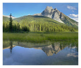 Mt Burgess Reflected In Emerald Lake, Yoho National Park, British Columbia, Canada-Paper Art-30,,X24,,