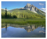 Mt Burgess Reflected In Emerald Lake, Yoho National Park, British Columbia, Canada-Paper Art-37,,X30,,