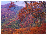 Blue Ridge Range With Autumn Deciduous Forest, Near Buck Creek Gap, North Carolina-Paper Art-50,,X38,,
