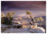 South Rim Of Grand Canyon With A Dusting Of Snow, Grand Canyon National Park, Arizona-Paper Art-50,,X38,,