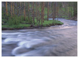 Gibbon River Rapids Popular River For Trout Fishing, Yellowstone National Park, Wyoming-Paper Art-50,,X38,,