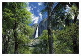Bridal Veil Falls Tumble 620 Feet To The Valley Floor, Yosemite National Park, California-Paper Art-20,,X14,,