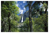Bridal Veil Falls Tumble 620 Feet To The Valley Floor, Yosemite National Park, California-Paper Art-50,,X34,,