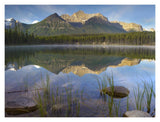 Bow Range And Boreal Forest Reflected In Herbert Lake, Banff National Park, Alberta, Canada-Paper Art-18,,X14,,