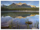 Bow Range And Boreal Forest Reflected In Herbert Lake, Banff National Park, Alberta, Canada-Paper Art-50,,X38,,