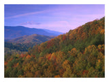Appalachian Mountains Ablaze With Fall Color, Great Smoky Mountains National Park, North Carolina-Paper Art-26,,X20,,