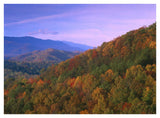 Appalachian Mountains Ablaze With Fall Color, Great Smoky Mountains National Park, North Carolina-Paper Art-42,,X32,,