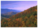 Appalachian Mountains Ablaze With Fall Color, Great Smoky Mountains National Park, North Carolina-Paper Art-50,,X38,,
