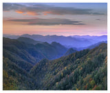 Deciduous Forest Covering Mountains, Newfound Gap, Great Smoky Mountains National Park, North Carolina-Paper Art-42,,X35.6,,
