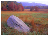 Boulder And Autumn Colored Deciduous Forest, Cades Cove, Great Smoky Mountains National Park, Tennessee-Paper Art-50,,X38,,