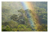 Rainbow Over Rainforest Canopy, Costa Rica-Paper Art-32X22