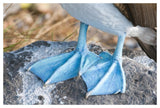 Blue-Footed Booby Feet, Galapagos Islands, Ecuador-Paper Art-50X34