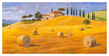 Colline In Toscana-Paper Art-50,,X26,,