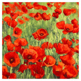 Poppies-Paper Art-38,,X38,,