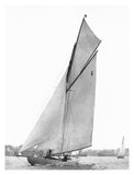 Sailing In Sydney Harbour-Paper Art-14,,X18,,